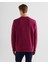 Erkek Bordo Regular Fit Bisiklet Yaka Logolu Sweatshirt 2036017.558 2