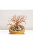 Yalın Ağacın Zerafeti | Bonsai Tel Ağaç | doğum günü hediyesi | ev dekorasyonu | yapay ağaç | hediyelik eşya | dekoratif ürünler| 9