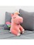 Parti Hediye Sepeti Oturan Peluş Unicorn (35 cm ) 1