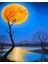Sayılarla Boyama Hobi Seti Renkli Baskılı (Çerçeveli) 40X450 Cm: Ayın Yansıması 2 2