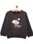 Basic Az Şardonlu Aslan Desenli Sweatshirt Erkek Bebek 3