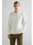 Erkek Krem Regular Fit Sweatshirt 3