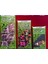 Takviyeli Baskılı Mağaza Poşeti 3'lü Paket (2-3-4 No) 3X50 (150)ADET 26X38-33X45-40X50 cm 1