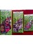 Takviyeli Baskılı Mağaza Poşeti 3'lü Paket (2-3-4 No) 3X50 (150)ADET 26X38-33X45-40X50 cm 2