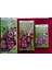Takviyeli Baskılı Mağaza Poşeti 3'lü Paket (2-3-4 No) 3X50 (150)ADET 26X38-33X45-40X50 cm 5
