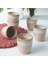 Shizen Pudra Latte Kupa 8 cm 6 Adet Q38 1