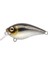 Ikiru Crank Pompano Maket Yem 2