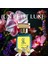 Premium Hediye Kutulu Un Petit Luxe Elegante Extrait De Parfum 50 Ml Exclusive Kadın Parfüm Seti (2'Li) 8
