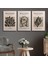 3'Lü Set Kanvas Duvar Tablosu Canvas Tablo Boho Klasik Modern Eu 190 1
