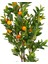 Yapay Mandalina Ağacı Gerçek Dokulu Turuncu-Yeşil 150 Cm. 2