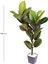 Yapay Kauçuk Ağacı Gerçek Dokulu 32 Yaprak Yeşil 100 Cm. 3