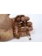 Kuka Tespih Imamesi Halkalı 10X10MM (KKT-10426) 3