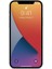 Uyumlu iPhone 12 Pro Max Gerçek Nano Ekran Koruyucu Cam - Extra Ince 3