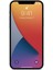 Apple iPhone 12 Mini Gerçek Nano Ekran Koruyucu Cam 3