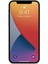 Apple iPhone 12 Gerçek Nano Ekran Koruyucu Cam - Extra Ince 3