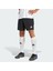 Adidas Performance H57504 Entrada 22 Shorts 1