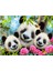 - Panda Pelüş ve Selfie 48 Parça Puzzle 15800 3