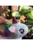 Sevimli Unicorn Peluş Anahtarlık Çanta ve Cüzdan Aksesuarı Bff Sevgili Hediyelik 4