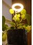 Bitki LED Lamba DC5V USB Bitki Geliştirme Tam Spektrumlu Bitki Yetiştirme Melek Halka Günışığı 1
