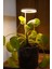 Bitki LED Lamba DC5V USB Bitki Geliştirme Tam Spektrumlu Bitki Yetiştirme Melek Halka Günışığı 2