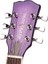 GRE2KCPP Elektro Gitar Rose Set 3