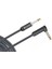 PWAMSGRA10 Amerıcan Stage Inst Cable Ra 10 1