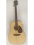 EARTH20TH-FNAT Elektro Akustik Gitar 1