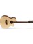 Gamedxop Elektro Akustik Gitar 1