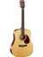 EARTH100NS Akustik Gitar 1