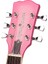 GRE2KCPK Elektro Gitar Rose Set 3