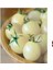 Saksılık Beyaz Cherry Domates Tohumu 1
