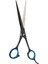 Sw-60 440C Japon Çeliği Profesyonel Saç Kesim Makası 6" 4