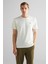 Erkek Krem Regular Fit T-Shirt 3