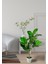 Yapay Çiçek Kauçuk Ağacı 85 cm Salon Çiçeği Beyaz Saksılı Yapay Bitki 3
