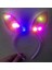 Kenarları Dantelli Pembe Pullu Payetli Led Işıklı Tavşan Kulak Taç 23x19 Cm 2