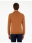 Erkek Kahverengi Slim Fit Yarım Balıkçı Yaka Basic Triko Kazak 50296614-VR163 5