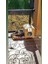 Besa Home Yağmura ve Soğuğa Dayanaklı Osb Kedi Evi Yuvası 4