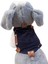 Köpek Göğüs tasması minik ırk kadife cepli göğüs ölçüsü:25-40cm ayarlamalı 3-7kg dog harness GT2-27 3