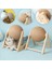 Cat Scratching Ball Toy Kitten Sisal Rope Ball Board Paws Toys Cats Scratcher Grinding Wear-Resistant Pet Furniture Supplies (Yurt Dışından) 3