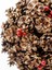 Yılbaşı Ağaç Süsü Natürel Kozalak Top Berry'li 25 cm 2