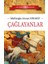 Çağlayanlar - Müftüoğlu Ahmed Hikmet 1