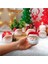 2'li Noel Baba Saksı 2