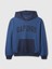 Erkek Koyu Mavi Gap Logo 1969 Colorblock Sweatshirt 2