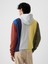 Erkek Çok Renkli Gap Logo Colorblock Sweatshirt 5