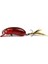 CC60S 6cm 9,6gr Sahte Balık, Rapala, Maket Yem 2