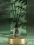 Bamboo Rainforest Çubuklu Oda Kokusu 55 ml Atelier Collection 1