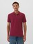 Erkek Bordo Gap Logo Piqué Polo Yaka T-Shirt 1