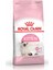Kitten 4 kg Yavru Kedi RC 1