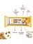 Waspco Protein Bar Kurabiye Aromalı 40g x 16 Adet 2