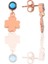 Gümüş Rose Turkuaz Taşlı Şanslı Yonca Küpe SGTL12619ROSE 1